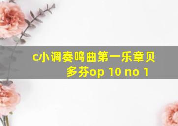 c小调奏鸣曲第一乐章贝多芬op 10 no 1